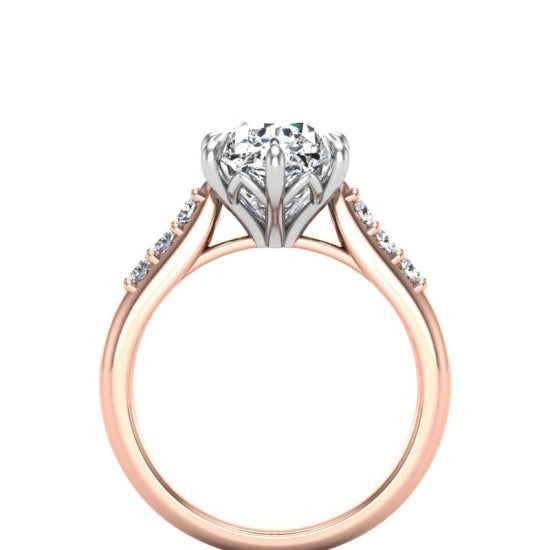 Item Number: D54456-2 - Cad Ready Design